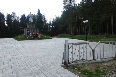 сосновый